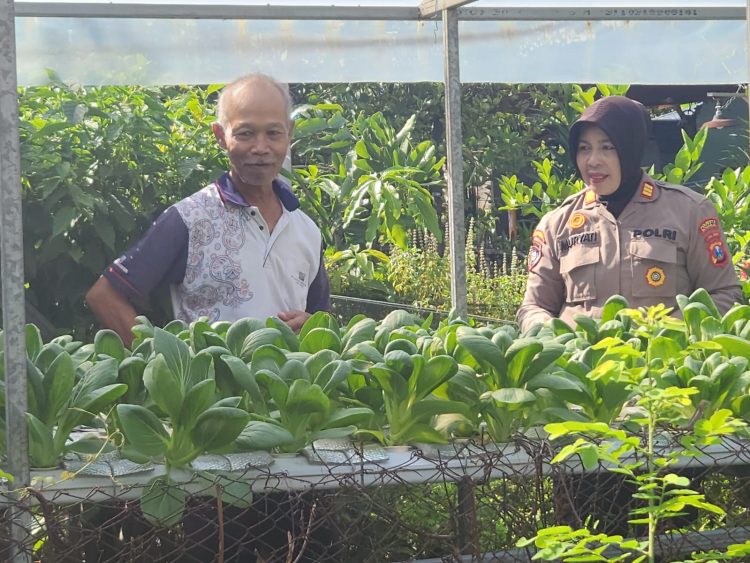 Dukung Ketahanan Nasional,Kanit Binmas Ajak Warga Desa Punggul Kembangkan Sayuran Hidroponik