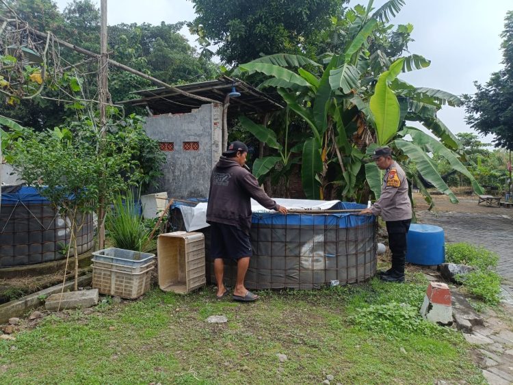 Bhabinkamtibmas Desa Jambangan Polsek Candi Hadir Untuk Masyarakat,Dorong Budidaya Ikan Untuk Ketahanan Pangan