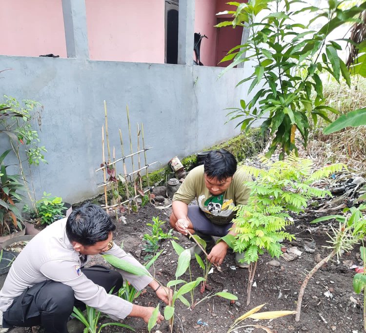 Brigadir Bayu Rizky Bersama Petani Ketela Sukseskan Ketahanan Pangan Nasional