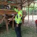 Wujudkan Ketahanan Nasional,Bhabinkamtibmas Desa semambung Kunjungi Peternakan Kambing Dukung Swasembada Pangan