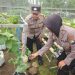 Wujudkan Ketahanan Nasional,Bhabinkamtibmas Desa Bangah Dukung Swasembada Pangan Lewat Kunjungan ke Lahan Melon Hidroponik