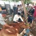 Kapolres Gowa Pimpin Pemotongan Hewan Kurban di Hari Raya Idul Adha 1446 H