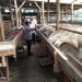 Dukung Ketahanan Nasional Polsek Gedangan Polresta Sidoarjo Tinjau Peternakan Kambing Wujudkan Swasembada Pangan
