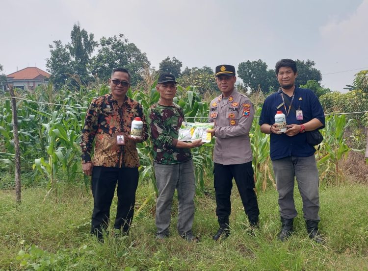 Kapolsek Taman AKP Inggit Prassetyanto Tunjukan Kepedulian,Bagikan Pupuk dan Benih Jagung Kepada Petani