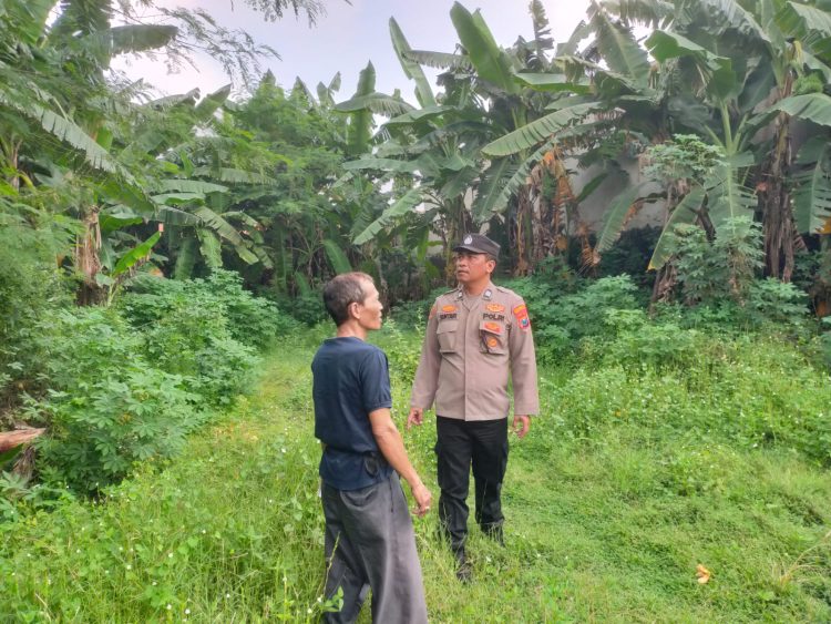 Bhabinkamtibmas Polsek Taman Sambangi Perkebunan Warga,Wujud Kepedulian Polri Terhadap Ketahanan Pangan Lokal