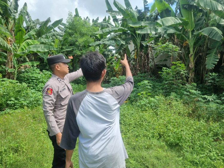 Wujudkan Ketahanan Nasional,Bhabinkamtibmas Polsek Taman Kunjungi Kebun di kedungturi