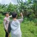 Wujudkan Ketahanan Nasional,Bhabinkamtibmas Polsek Taman Kunjungi Kebun di kedungturi