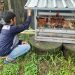 Dukug Program Ketahanan Nasional,Bhabinkamtibmas Kelurahan Kalijaten Bripka Ronggo Kunjungi Peternakan Ayam Binaan