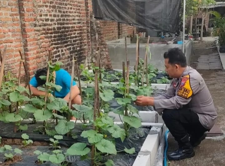 Bhabinkamtibmas Desa Buduran Dukung Swasembada Pangan Warga Lewat Budidaya Sayur di Pekarangan Rumah