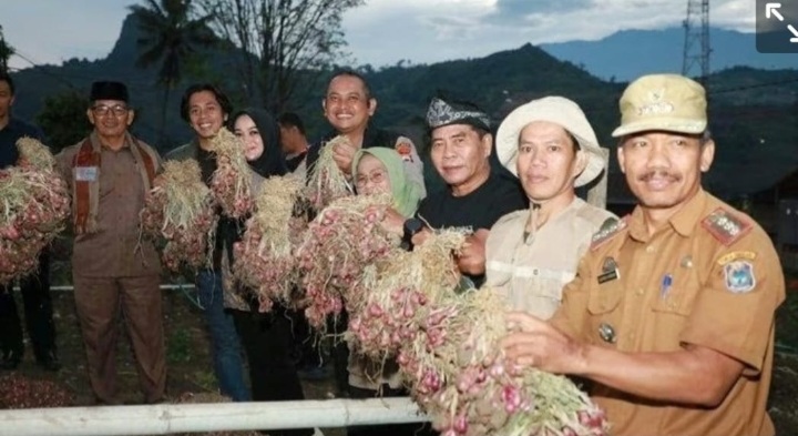 Bertujuan Jajaki Potensi Kolaborasi Komoditas Hortikultura Enrekang, Gubernur Kaltara Berkunjung Langsung ke Perkebunan Bawang di Sossok