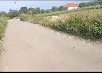 Lapor Pa Wali Jalan Rusak Parah di Cimengge Kedung Menjangan Kel Kalijaga