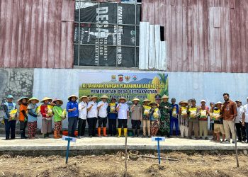 Dukung Ketahanan Pangan Polresta Cirebon dan Pemkab Cirebon Tanam 404 Hektare Jagung Pipil