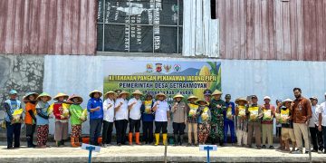 Dukung Ketahanan Pangan Polresta Cirebon dan Pemkab Cirebon Tanam 404 Hektare Jagung Pipil